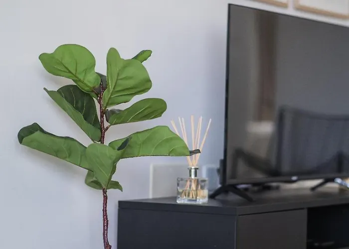 The Artemest - Exclusive Spb By Homely St. Paul's Bay